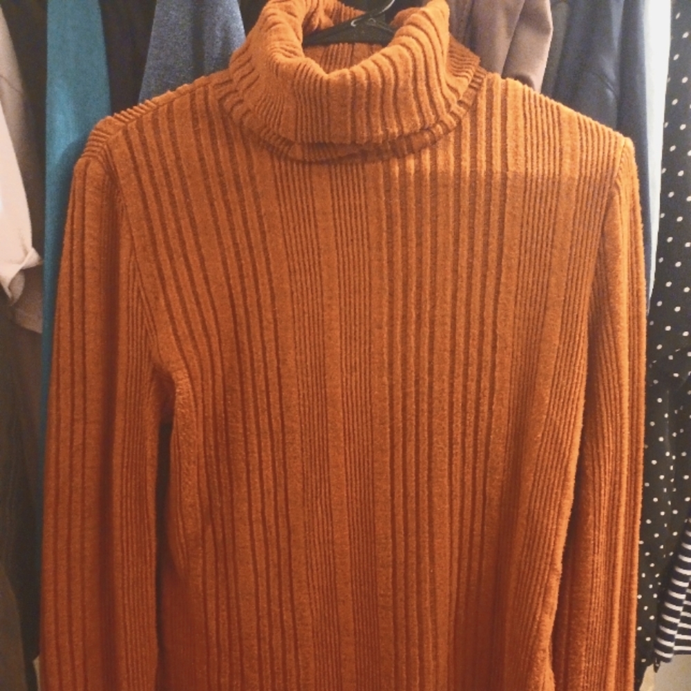 Burnt Orange Turtleneck Crop Top